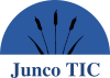 Campus Virtual JuncoTIC
