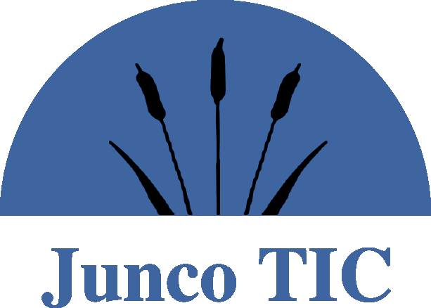 Campus Virtual JuncoTIC
